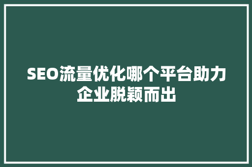 SEO流量优化哪个平台助力企业脱颖而出