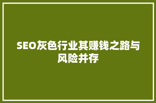 SEO灰色行业其赚钱之路与风险并存