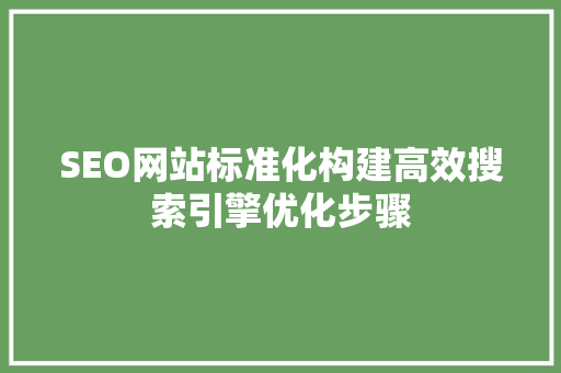SEO网站标准化构建高效搜索引擎优化步骤