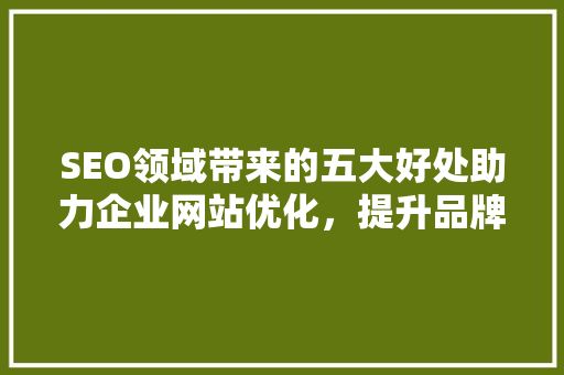 SEO领域带来的五大好处助力企业网站优化，提升品牌影响力