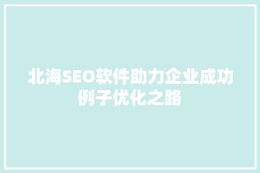 北海SEO软件助力企业成功例子优化之路