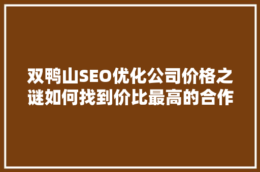 双鸭山SEO优化公司价格之谜如何找到价比最高的合作伙伴