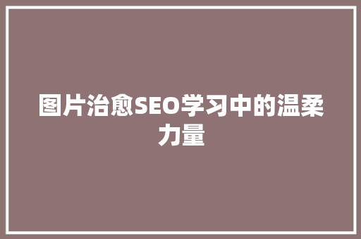 图片治愈SEO学习中的温柔力量