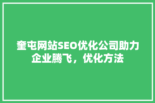 奎屯网站SEO优化公司助力企业腾飞，优化方法