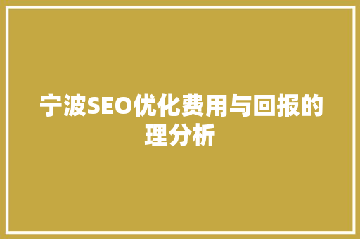 宁波SEO优化费用与回报的理分析
