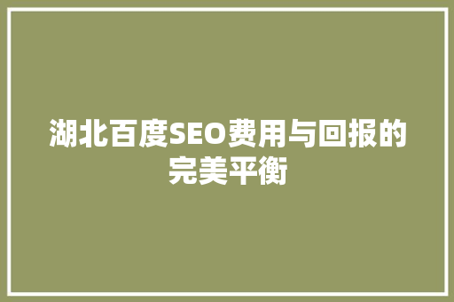 湖北百度SEO费用与回报的完美平衡