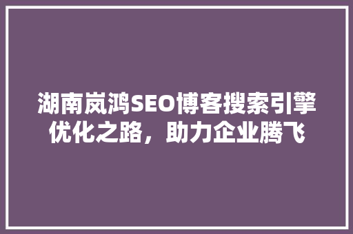 湖南岚鸿SEO博客搜索引擎优化之路，助力企业腾飞  第1张