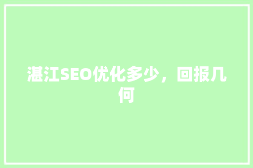 湛江SEO优化多少，回报几何