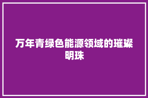 万年青绿色能源领域的璀璨明珠