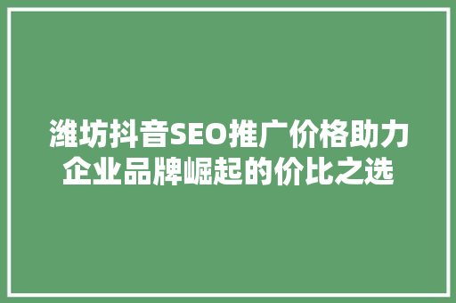 潍坊抖音SEO推广价格助力企业品牌崛起的价比之选