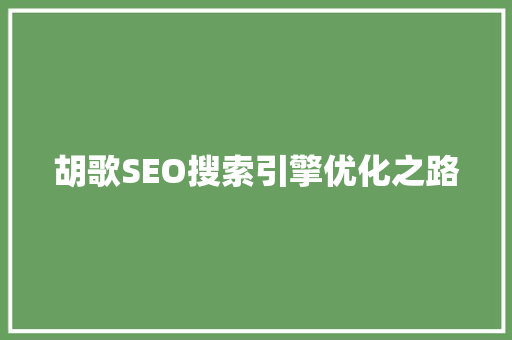 胡歌SEO搜索引擎优化之路