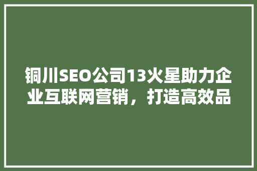 铜川SEO公司13火星助力企业互联网营销，打造高效品牌推广步骤