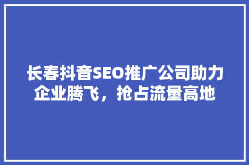 长春抖音SEO推广公司助力企业腾飞，抢占流量高地