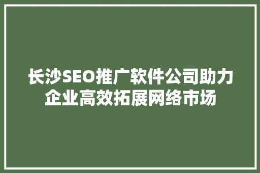 长沙SEO推广软件公司助力企业高效拓展网络市场