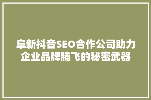 阜新抖音SEO合作公司助力企业品牌腾飞的秘密武器