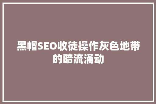 黑帽SEO收徒操作灰色地带的暗流涌动