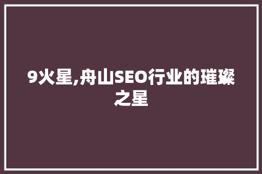 9火星,舟山SEO行业的璀璨之星