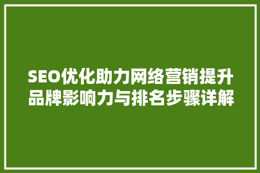 SEO优化助力网络营销提升品牌影响力与排名步骤详解