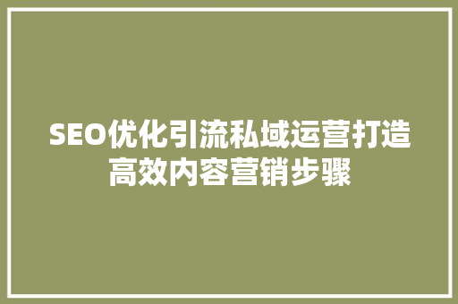 SEO优化引流私域运营打造高效内容营销步骤  第1张
