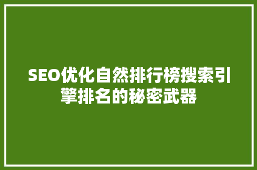 SEO优化自然排行榜搜索引擎排名的秘密武器