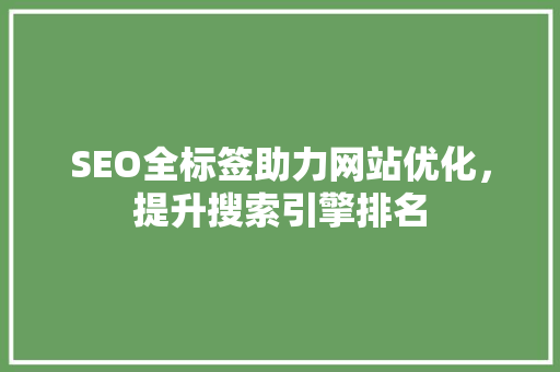 SEO全标签助力网站优化，提升搜索引擎排名
