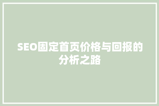 SEO固定首页价格与回报的分析之路