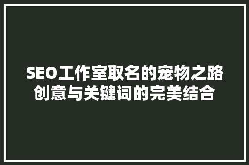 SEO工作室取名的宠物之路创意与关键词的完美结合