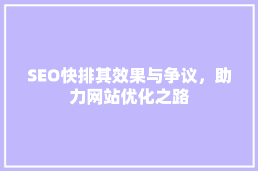 SEO快排其效果与争议，助力网站优化之路