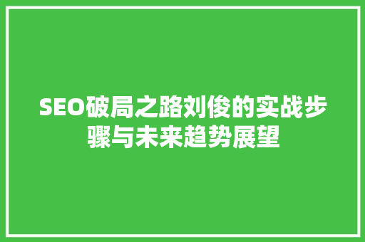 SEO破局之路刘俊的实战步骤与未来趋势展望