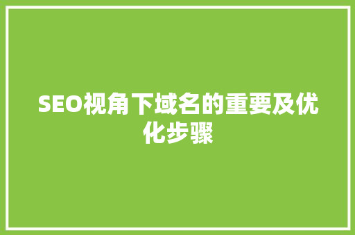 SEO视角下域名的重要及优化步骤