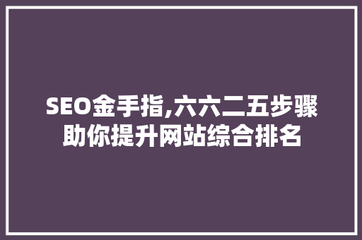 SEO金手指,六六二五步骤助你提升网站综合排名