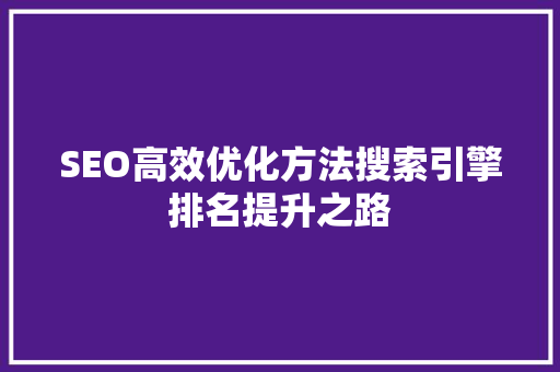 SEO高效优化方法搜索引擎排名提升之路