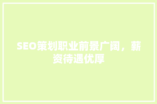 SEO策划职业前景广阔，薪资待遇优厚