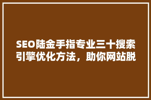 SEO陆金手指专业三十搜索引擎优化方法，助你网站脱颖而出