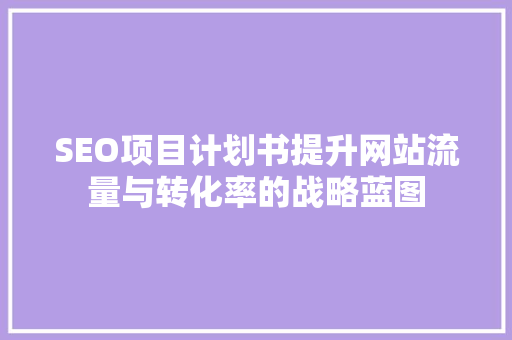 SEO项目计划书提升网站流量与转化率的战略蓝图