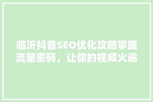 临沂抖音SEO优化攻略掌握流量密码，让你的视频火遍全网