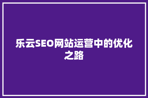 乐云SEO网站运营中的优化之路