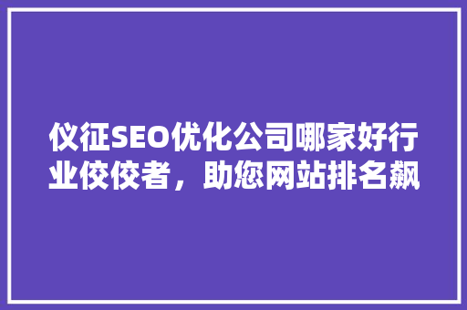 仪征SEO优化公司哪家好行业佼佼者，助您网站排名飙升
