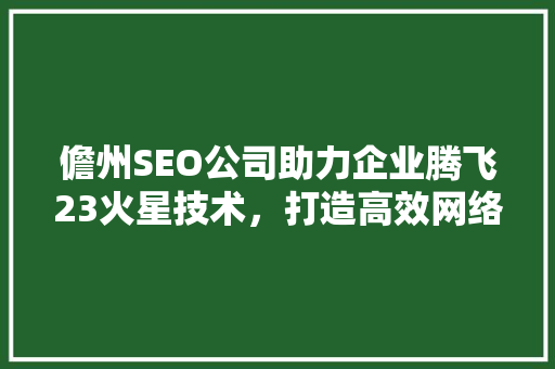 儋州SEO公司助力企业腾飞23火星技术，打造高效网络营销步骤