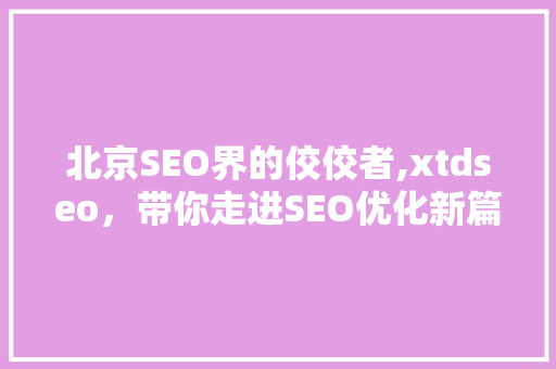 北京SEO界的佼佼者,xtdseo，带你走进SEO优化新篇章