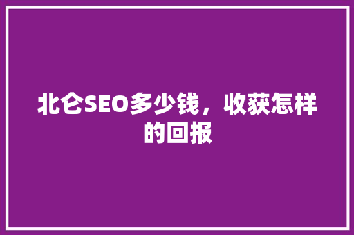 北仑SEO多少钱，收获怎样的回报