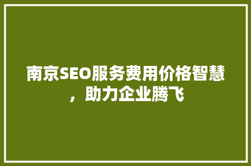 南京SEO服务费用价格智慧，助力企业腾飞