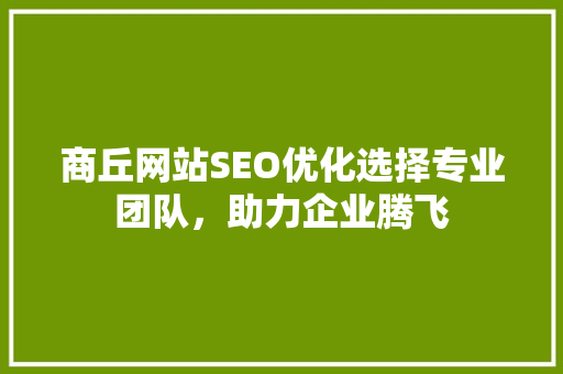 商丘网站SEO优化选择专业团队，助力企业腾飞