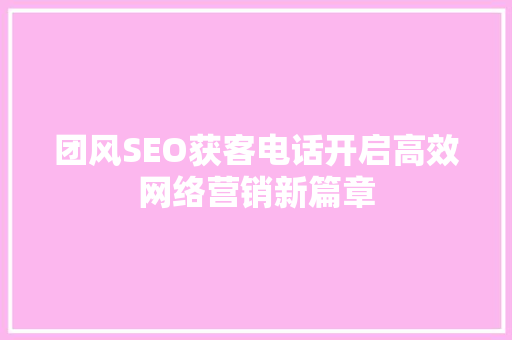 团风SEO获客电话开启高效网络营销新篇章  第1张