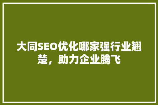 大同SEO优化哪家强行业翘楚，助力企业腾飞