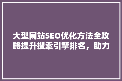 大型网站SEO优化方法全攻略提升搜索引擎排名，助力企业品牌腾飞