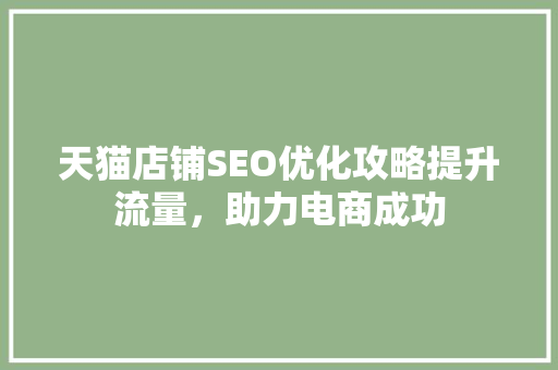 天猫店铺SEO优化攻略提升流量，助力电商成功