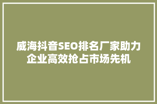 威海抖音SEO排名厂家助力企业高效抢占市场先机