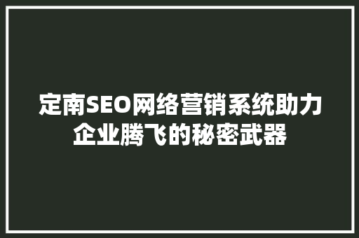 定南SEO网络营销系统助力企业腾飞的秘密武器