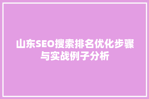 山东SEO搜索排名优化步骤与实战例子分析